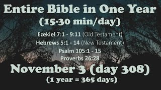 November 3  Entire Bible in One Year 15 minday audio [upl. by Atirabrab]