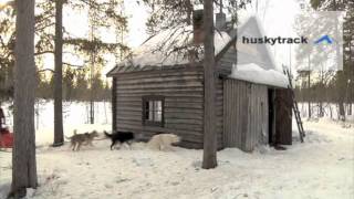 huskytrack Hundeschlittentour in Lappland [upl. by Gordon]