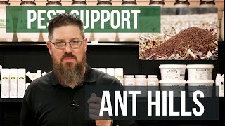 How do I get Rid of Ant Hills  Pest Support [upl. by Sanjiv891]