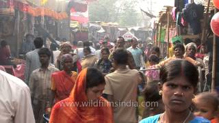 Stalls set up at the Sonepur fair Bihar [upl. by Nazar]