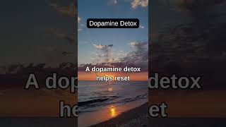 Dopamine Detox [upl. by Fonzie752]