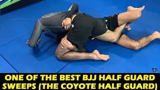 One Of The Best BJJ Half Guard Sweeps The Coyote Half Guard by Lucas Leite [upl. by Aneek]