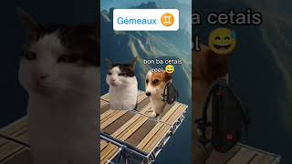 Sauter en parachute selon ton signe astrologique meme catmemes humour astrology [upl. by Nairam]