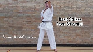 Shotokan Karate Techniques From Shizentai [upl. by Gnes]