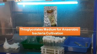 Thioglycollate Medium for Anaerobic bacteria Cultivation  Introduction Composition and Preparation [upl. by Otirecul935]