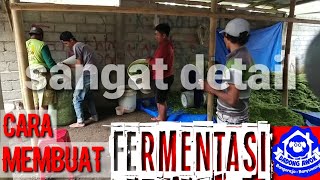 cara membuat fermentasi pakan kambing sapi domba dari limbah pohon jagung kering sangat mudah [upl. by Ennirroc]