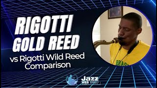 Rigotti Gold Reed vs Rigotti Wild Reed Comparison [upl. by Aneekat]