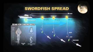 How to Rig for Swordfish at Night [upl. by Hulburt]