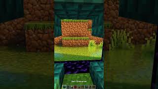 Minecraft Creeper Nether Portal minecraft shorts [upl. by Tenaj]