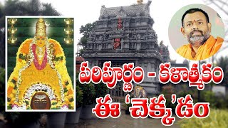 temple Torch media Sri Peetam Kakinada [upl. by Ninon]