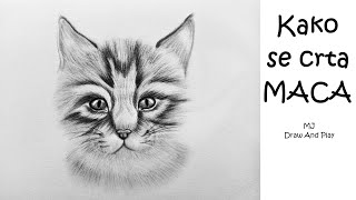 Kako nacrtati MACKU  kako se senci TUTORIJAL  How to draw and shade a kitten [upl. by Natsyrt504]