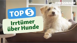 Top 5 Irrtümer über Hunde [upl. by O'Reilly]