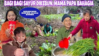 PANEN DAN BERBAGI SAYURAN YANG ADA DIKEBUN CINONG MAMA PAPA BAHAGIA SELALU ADA ORANG BAIK YG PEDULI [upl. by Iila]