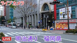 ライブカメラ 明治通り 福岡県 Live camera Meijidori Fukuoka Prefecture [upl. by Deadman]