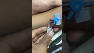 Blood sample in cannula song music bollywood newsong movie subscribe baby ivcannulation [upl. by Arly]