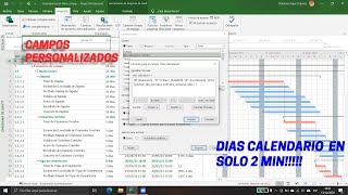 Días calendario con campos personalizados  Ms Project 2019 [upl. by Atinram101]