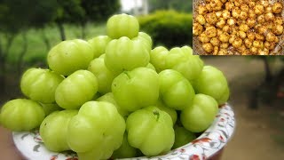 Fresh Star Gooseberry Recipe  Simple and Easy Recipe  VILLAGE FOOD [upl. by Fishman]