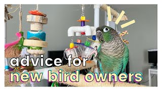 MY ADVICE TO NEW BIRD OWNERS [upl. by Eltsyrhc]