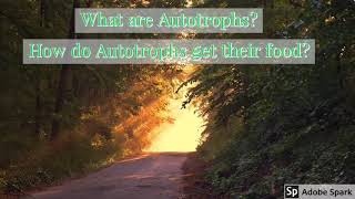 What are Autotrophs How do Autotrophs get their food 10 th biology 1st lesson Nutrition page 1 [upl. by Lomax313]