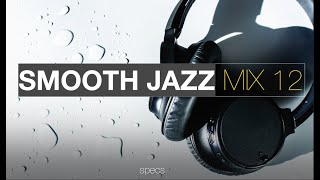 Smooth Jazz Mix 12 [upl. by Avilla]