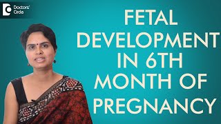 6th Month  Fetal development in sixth month of pregnancy Dr Shefali Tyagi [upl. by Oisinoid140]