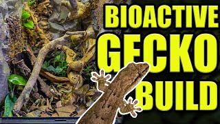 CUSTOM BIOACTIVE MOURNING GECKO ENCLOSURE  How to setup gecko tank [upl. by Annodam]