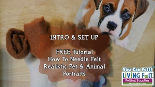 How to Needle Felt a Realistic Pet Portrait Tutorial Intro amp Set Up [upl. by Leval]