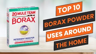 10 Surprising Ways to Use Borax Powder at Home [upl. by Yrrehs]