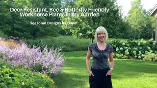 Deer Resistant Plants That Bees amp Butterflies Love In My Garden [upl. by Ivar150]