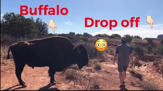 Caprock Canyon State Park mountain biking with buffalo [upl. by Kraus]