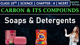 Class 10th Science  Soaps amp Detergents  Chapter 4 Carbon and its Compounds  NCERT [upl. by Rubina]