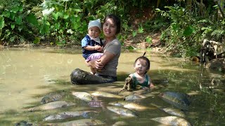 How to harvest giant fish ponds to sell at the market  cook with your children [upl. by Tessy28]