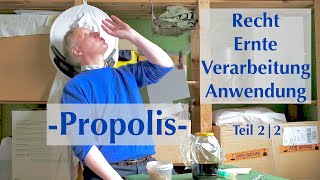 Propolis rechtlich  Ernte Verarbeitung Anwendung  Teil 2 [upl. by Nawaj]