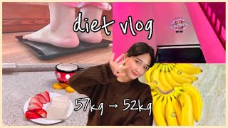 eng5일다이어트DIET VLOG운동❌식단⭕️  5일만에 5kg도전  다이어트브이로그🔥 [upl. by Penni]