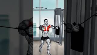 Chest exercise home core bodybuilding armyfitnessclub core workout [upl. by Eladnar915]