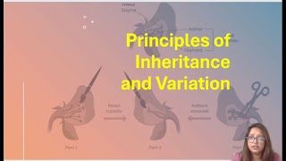 Chapter 4 Class 12 Biology  Principles of Inheritance 1st topic  NEET  CBSE  Monohybrid cross [upl. by Allen799]