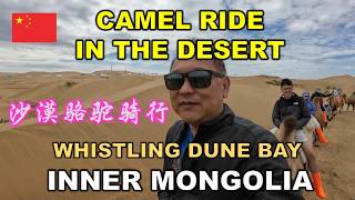 Camel Ride In The Desert  沙漠骆驼骑行  响沙湾  中国内蒙古  WHISTLING DUNE BAY  INNER MONGOLIA  CHINA [upl. by Ardnua]