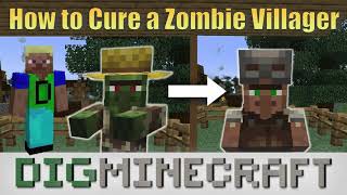 How to Cure a Zombie Villager in Minecraft [upl. by Iruam246]