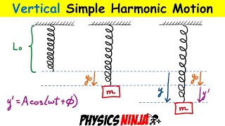 Vertical Simple Harmonic Motion [upl. by Yelrac]