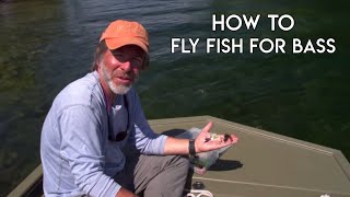 Bass on a Fly  Orvis Guide to Fly Fishing [upl. by Enilarak]