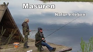 Masuren  Natur erleben  Reise Tier und Naturfilm [upl. by Winterbottom417]