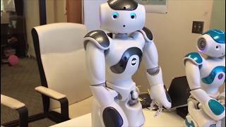 First Impression  SoftBank Robotics Nao V6 [upl. by Euqcaj]