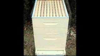 How to Set Up a Beehive for Beginner Beekeepers [upl. by Dayle]