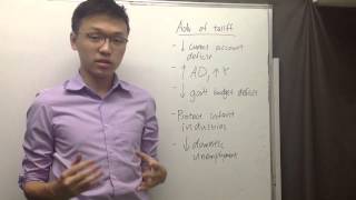 How to write a Level7 International Economics IA in 2 hours [upl. by Ahsiena]