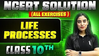 Life processes class 10 full chapter  animation   One shot [upl. by Charla406]