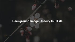 Full Screen Background Image with HTML CSS  Responsive Full Page Background Image CSS [upl. by Nylasoj]