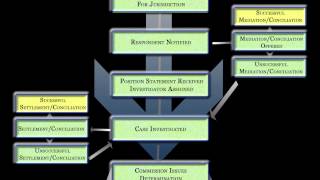 Understanding the Complaint Process [upl. by Rennold]