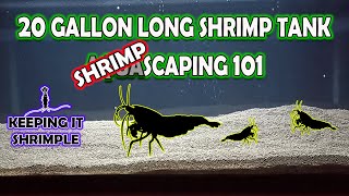 HOW TO DO A SHRIMP TANK RESET AND SHRIMP SCAPE [upl. by Sualkin]