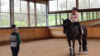 Dressage Horse Training  Canter [upl. by Schroder295]