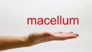 How to Pronounce macellum  American English [upl. by Wolsky]